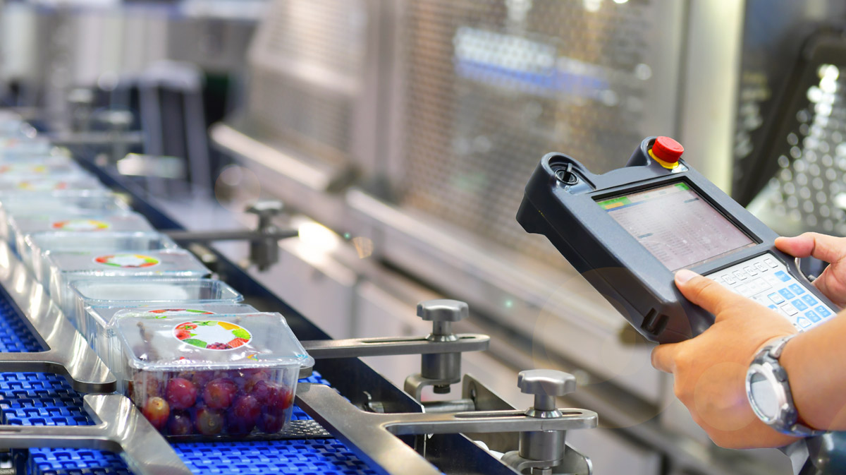 Sectors – Food Production Sectors - Food Production