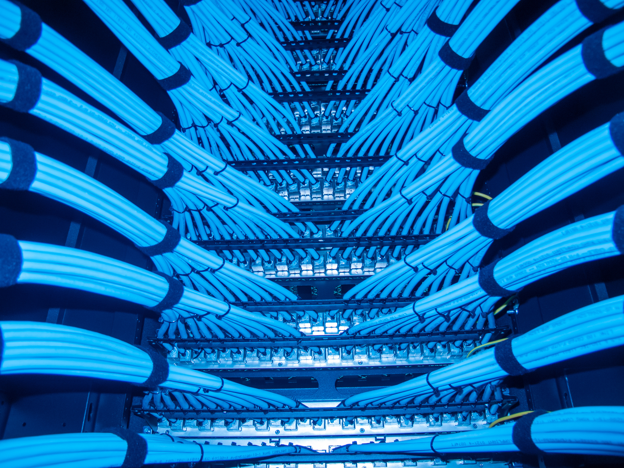 Blue Network Cables Inside Server Rack with Structured Wiring System Network Cables